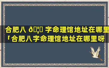 合肥八 🦉 字命理馆地址在哪里「合肥八字命理馆地址在哪里呀 🦉 」